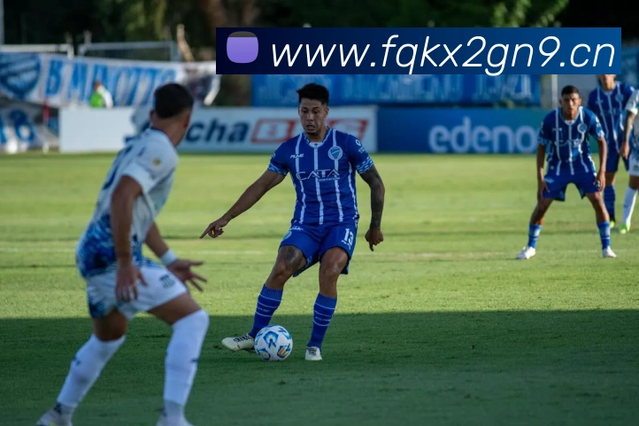 开云app官方在线登录APP 封面图